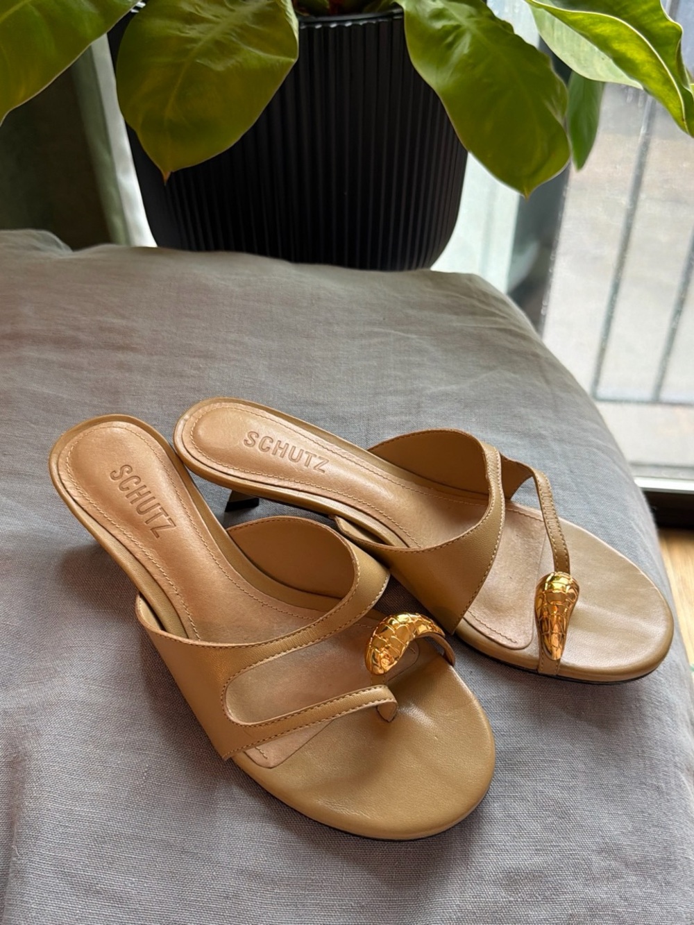 NWT SCHUTZ Elliote Beige/Tan Slide leather Sandals with Gold Snake Accent